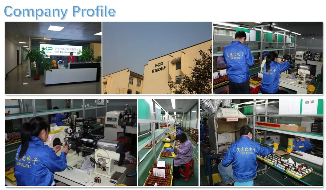 Ikp-Elec Raddrizzatore Cartone RM4/5/6/7/8/9/10/12/13/14 Cina Ei Trasformatore di Potenza ad Alta Frequenza